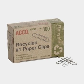Paperclips 100pk