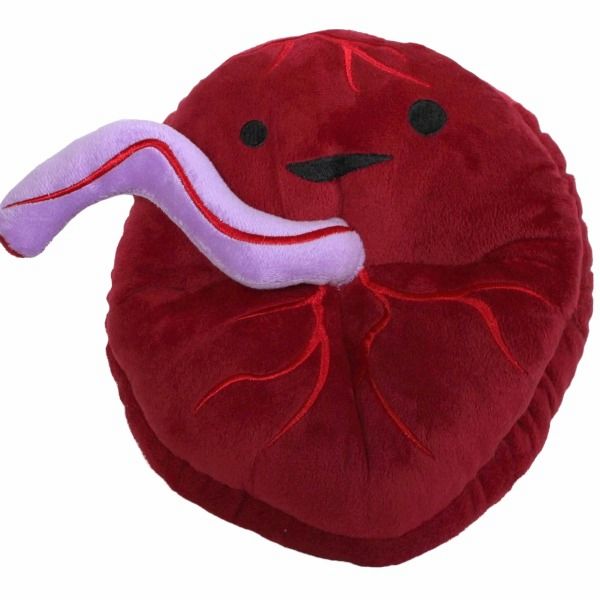 I Heart Guts Plush Placenta