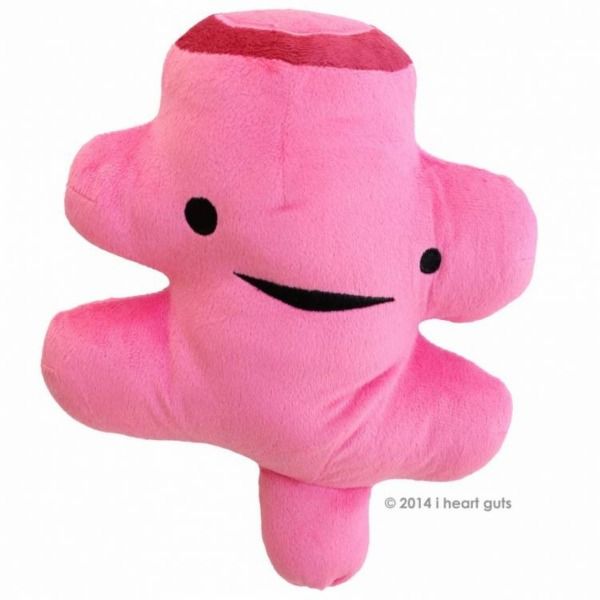 I Heart Guts Plush Rectum