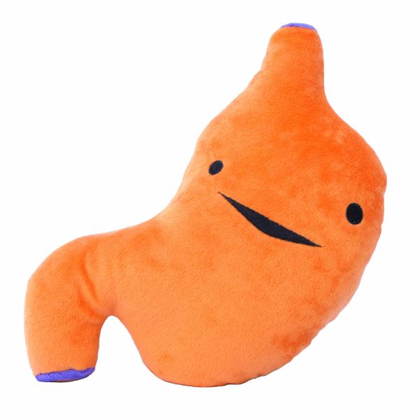 I Heart Guts Plush Stomach I Heart Guts Plush Stomach